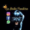 La Bella Pantera - Oficial