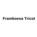 Framboesa Tricot