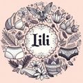 Lili Moda Atacado