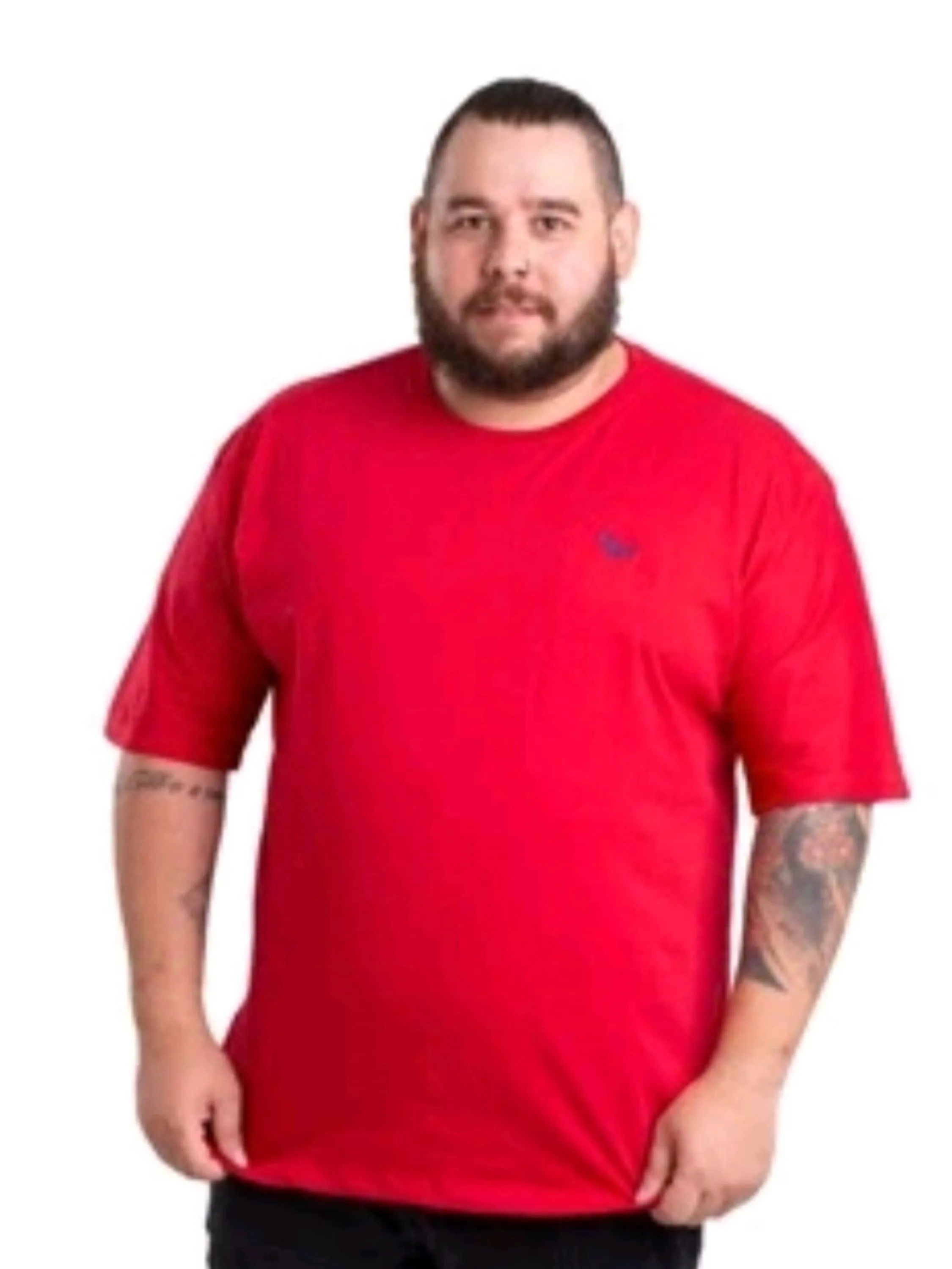 Camiseta masculina algodão plus size bordada