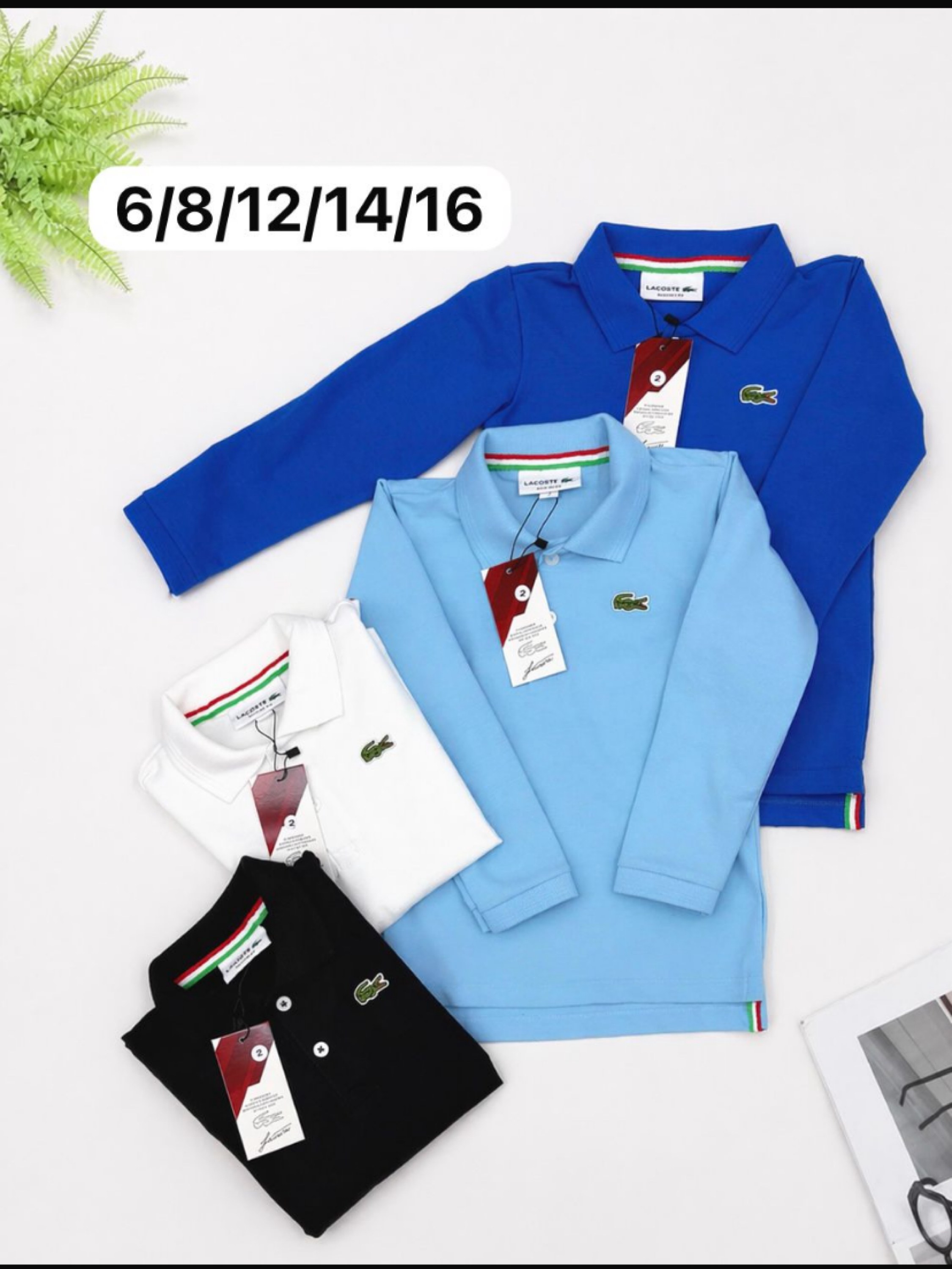 Camiseta Polo manga longa Lacoste infantil /juvenil