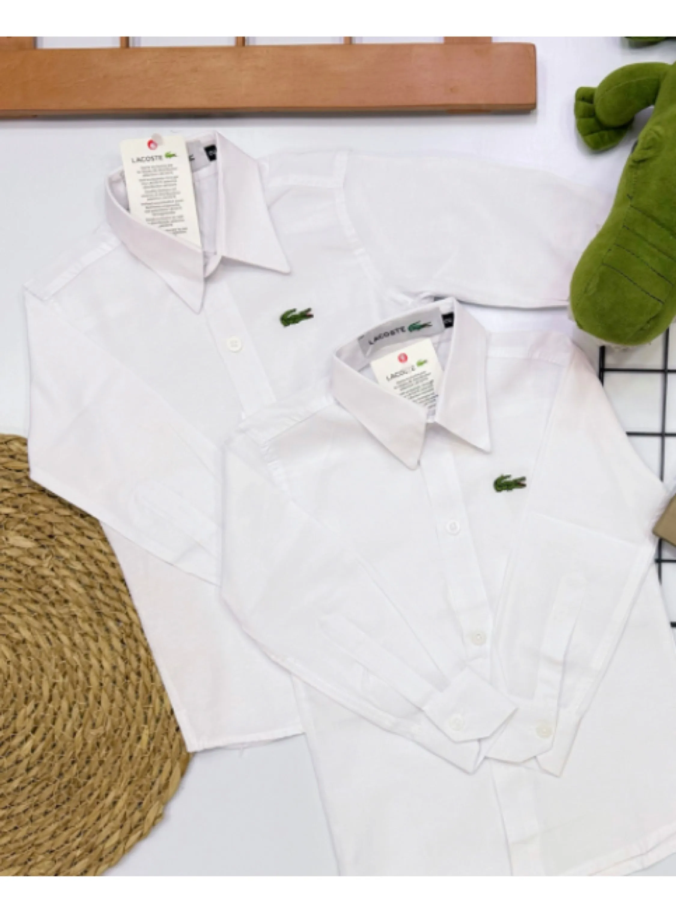 Camisa social Lacoste infantil /juvenil linha premium