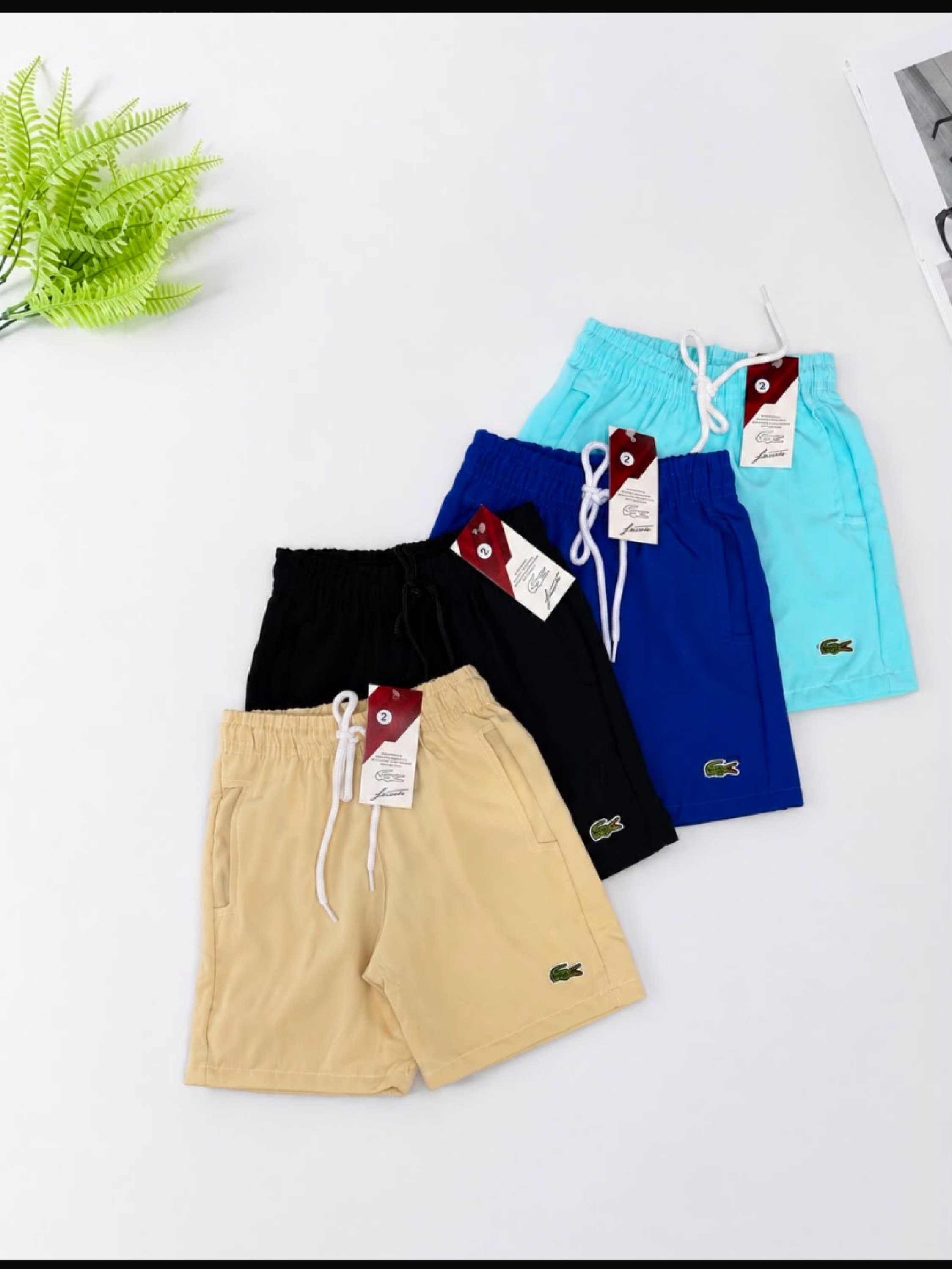 Bermuda tactel Lacoste infantil/juvenil