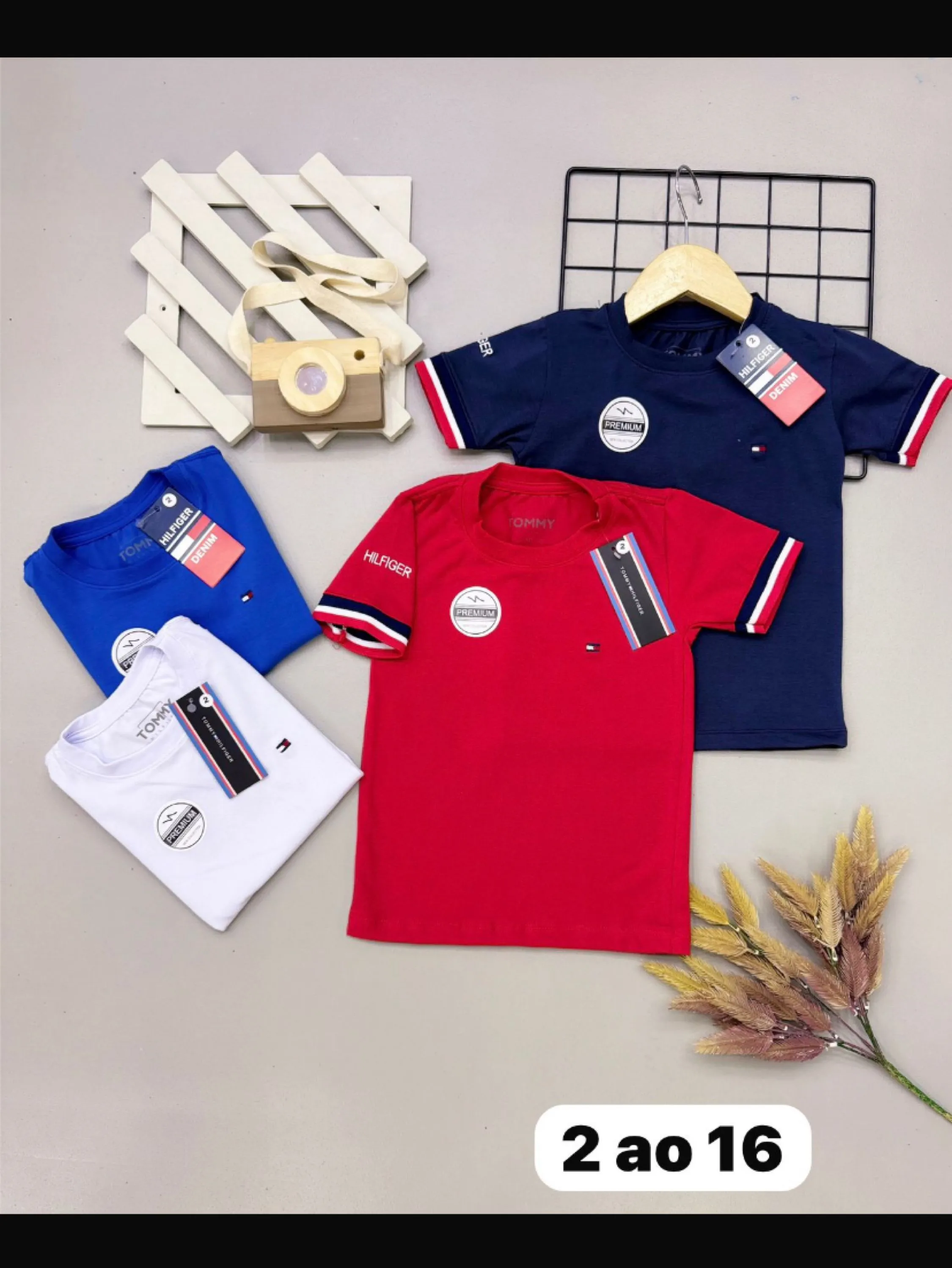 Camiseta tommy manga curta infantil/juvenil