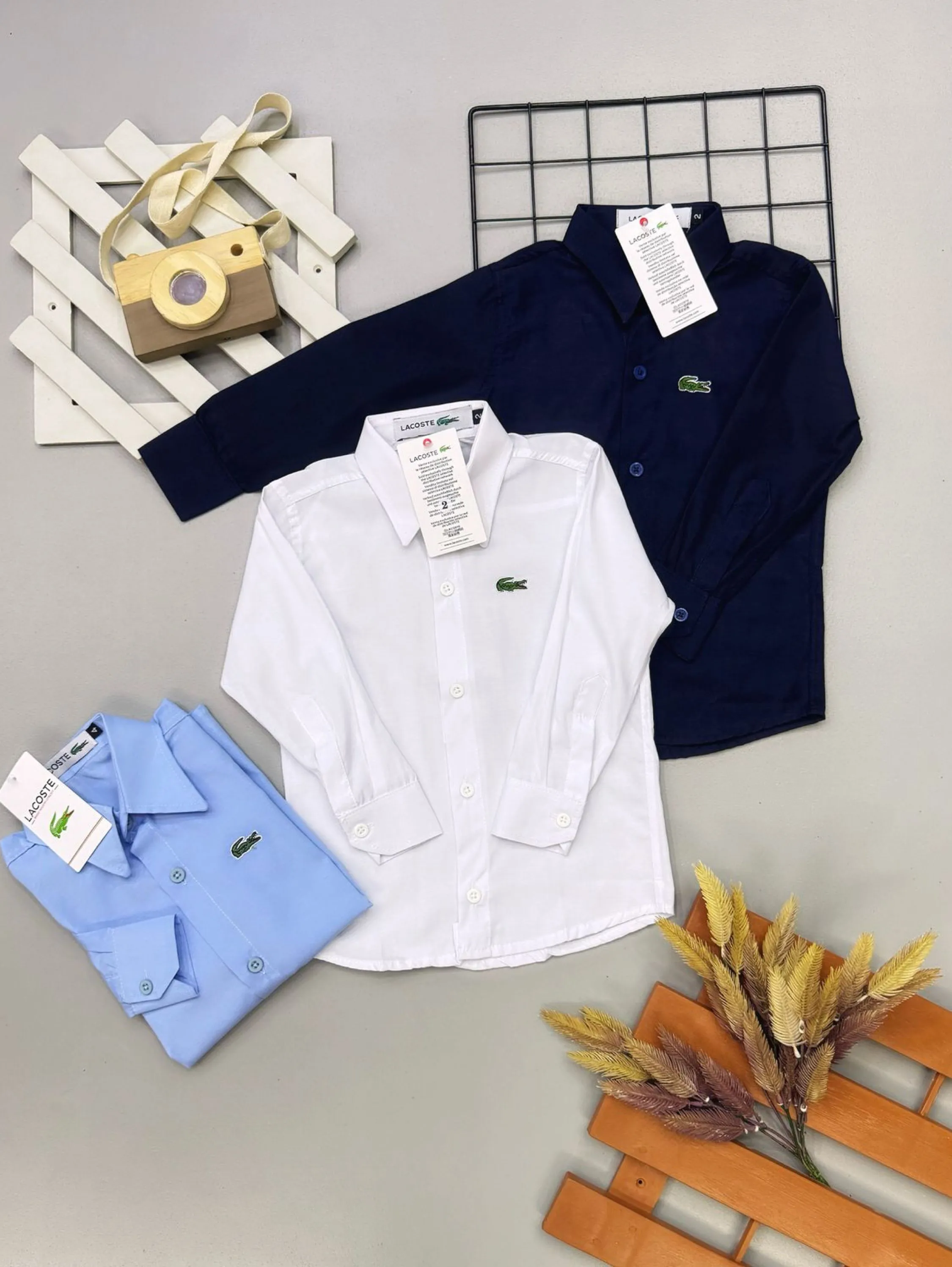 Camisa social manga longa Lacoste infantil/jucenil