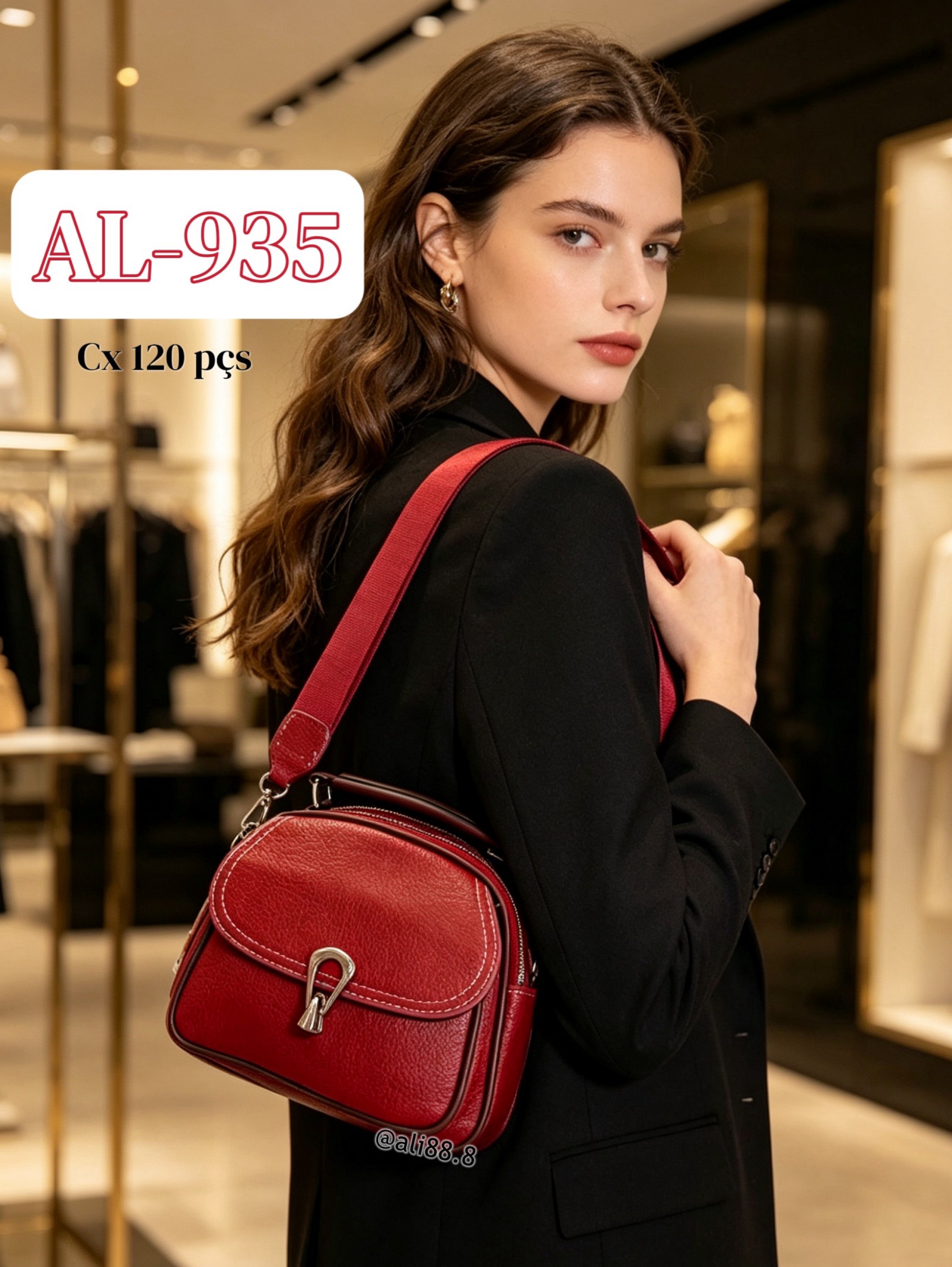 Bolsa Elegante pra uso dia a dia AL-935