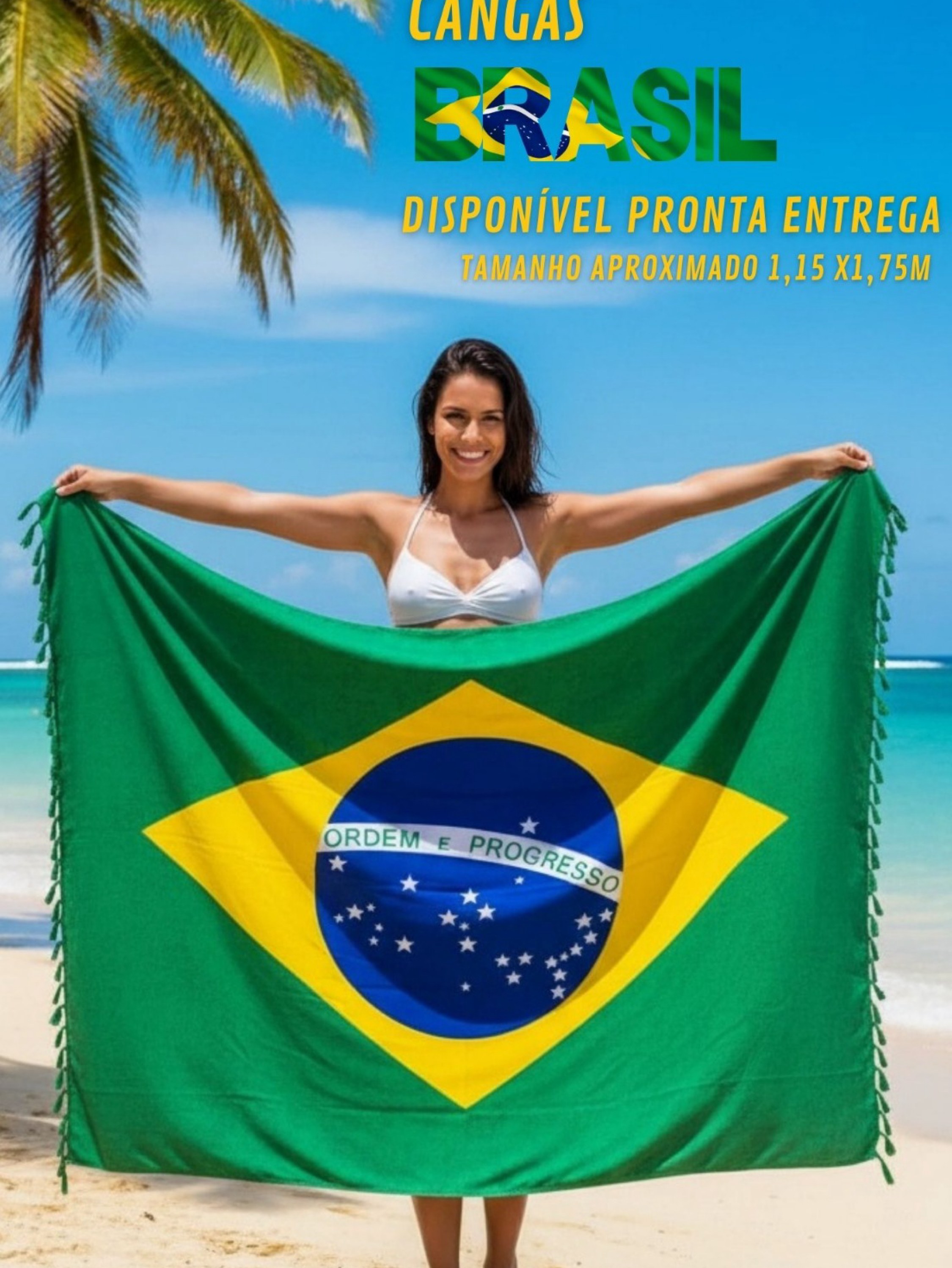 Bandeira Do Brasil Para Capô Carro, Jogos, Politica, Canga