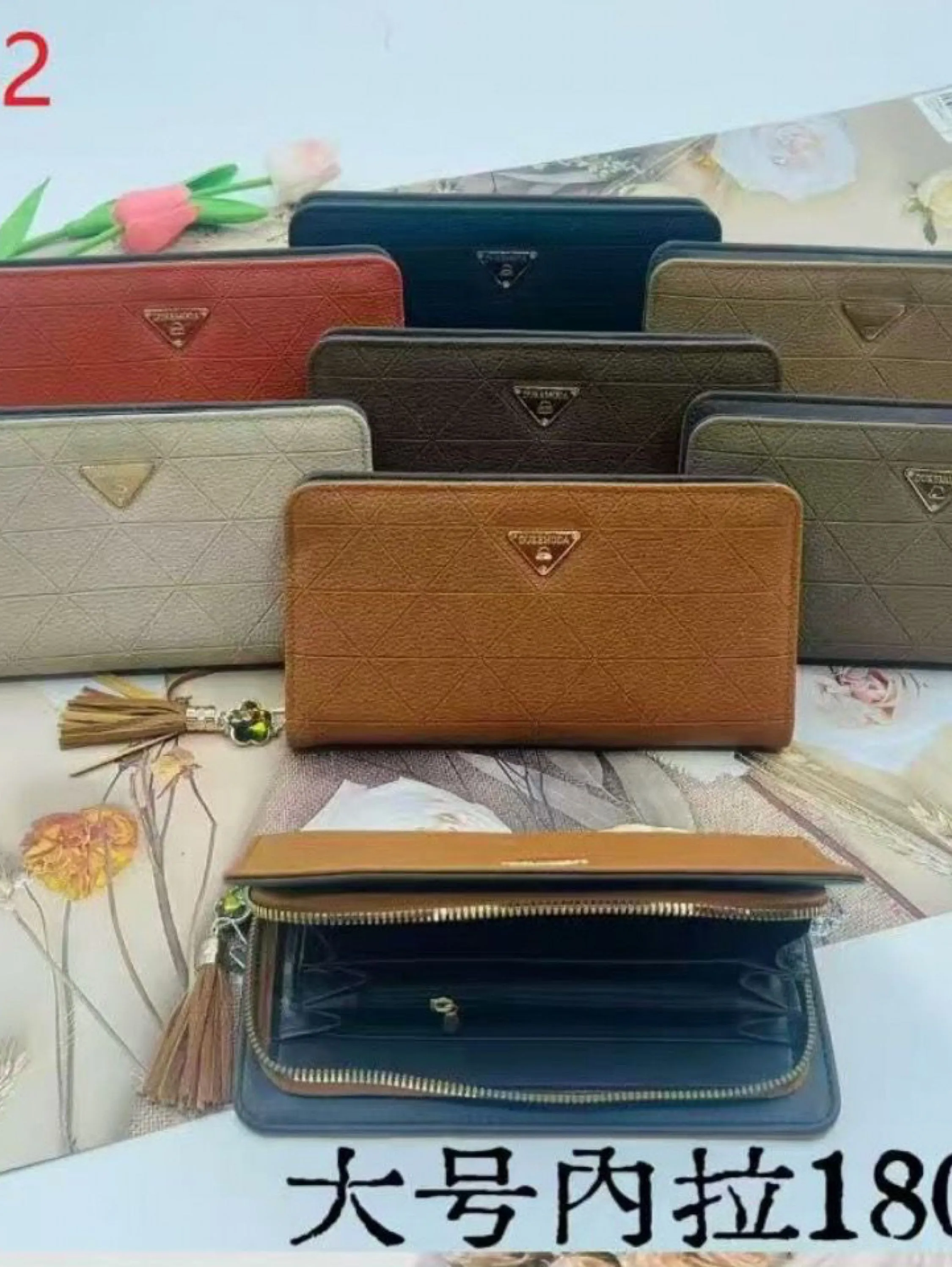Bolsa carteira