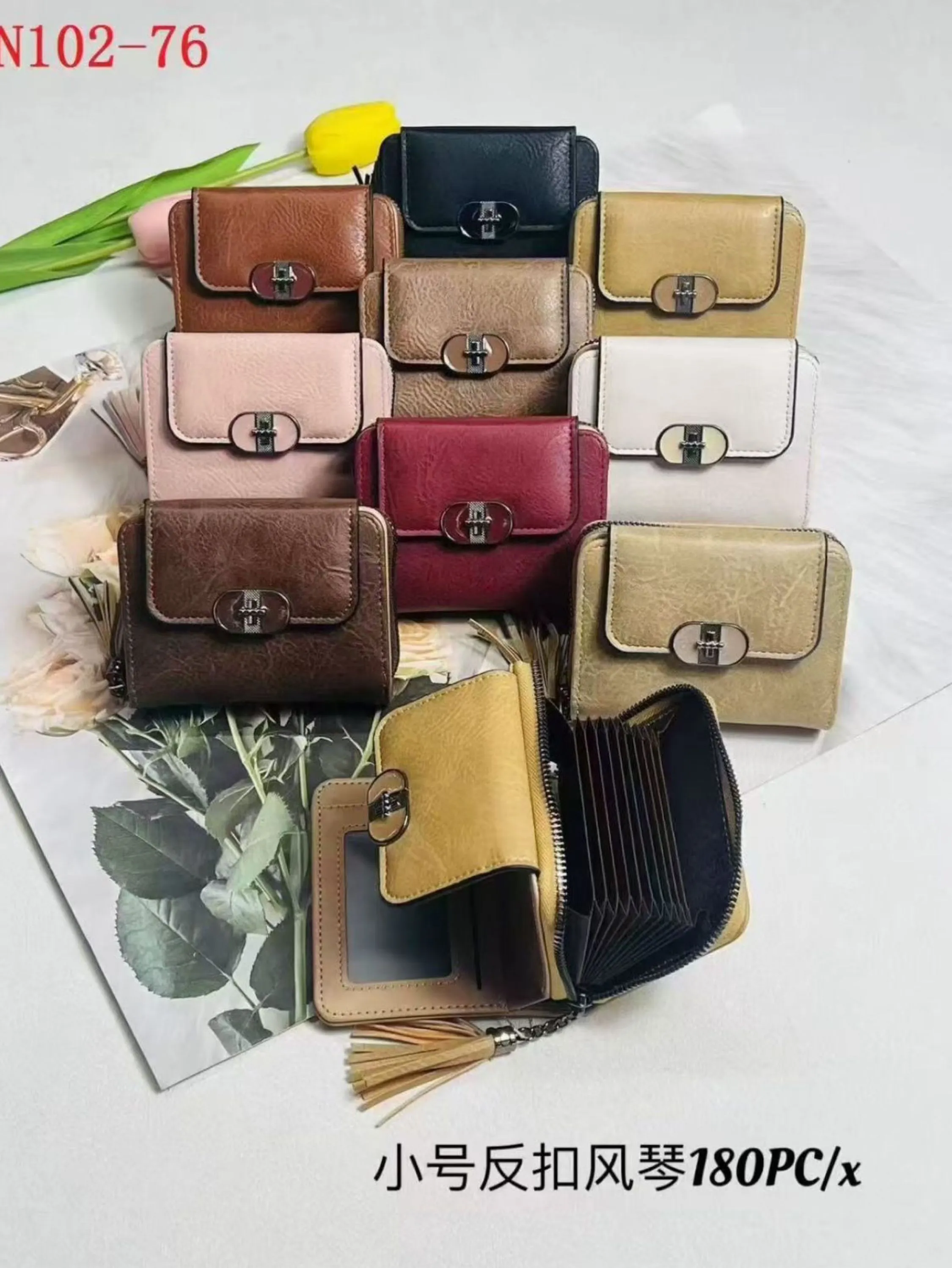 Bolsa carteira