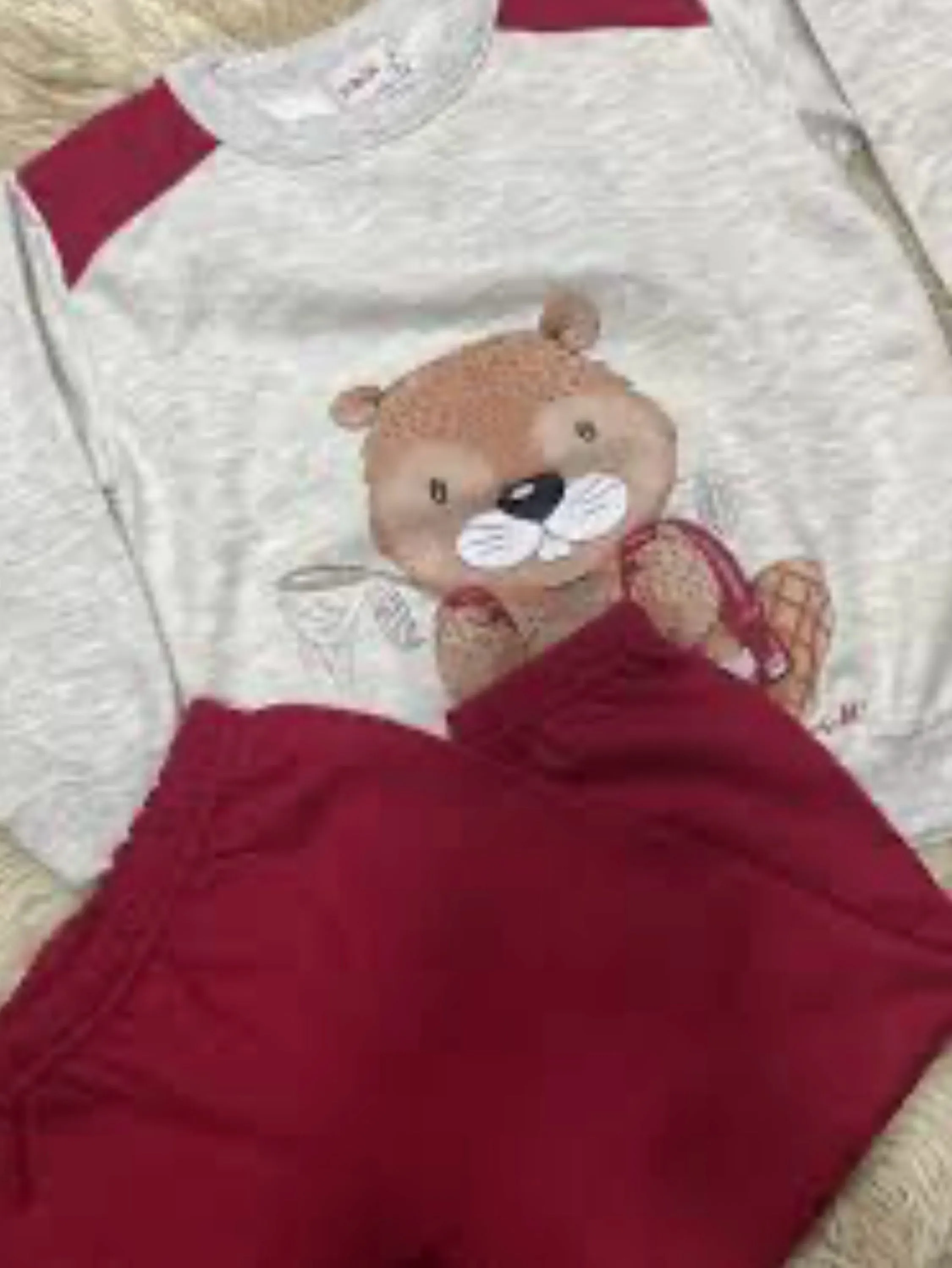 Conjunto Infantil Moletom Ursinho Aventureiro 🐻