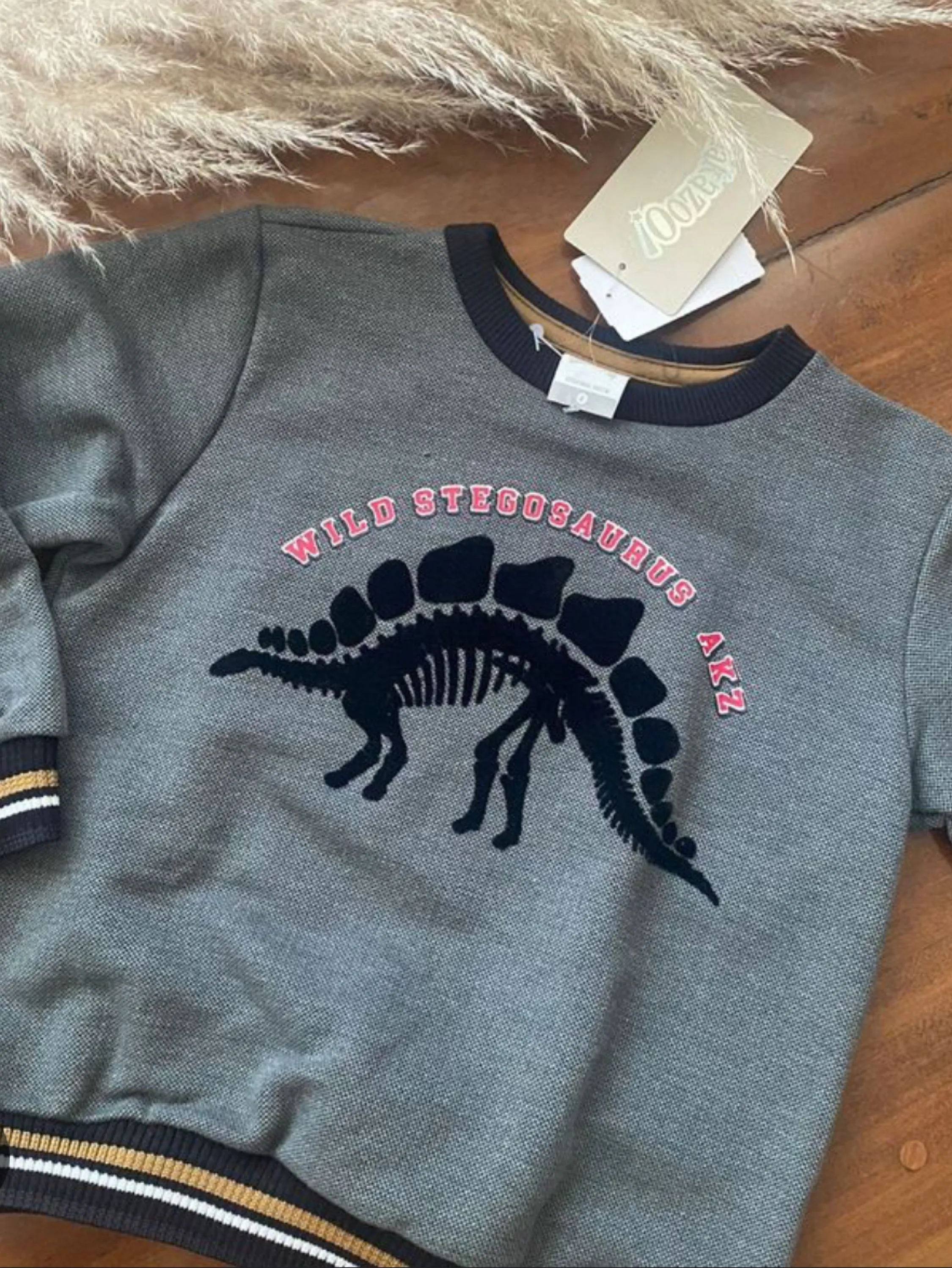 Conjunto infantil  Masculina com Estampa de Dinossauro 🦕
