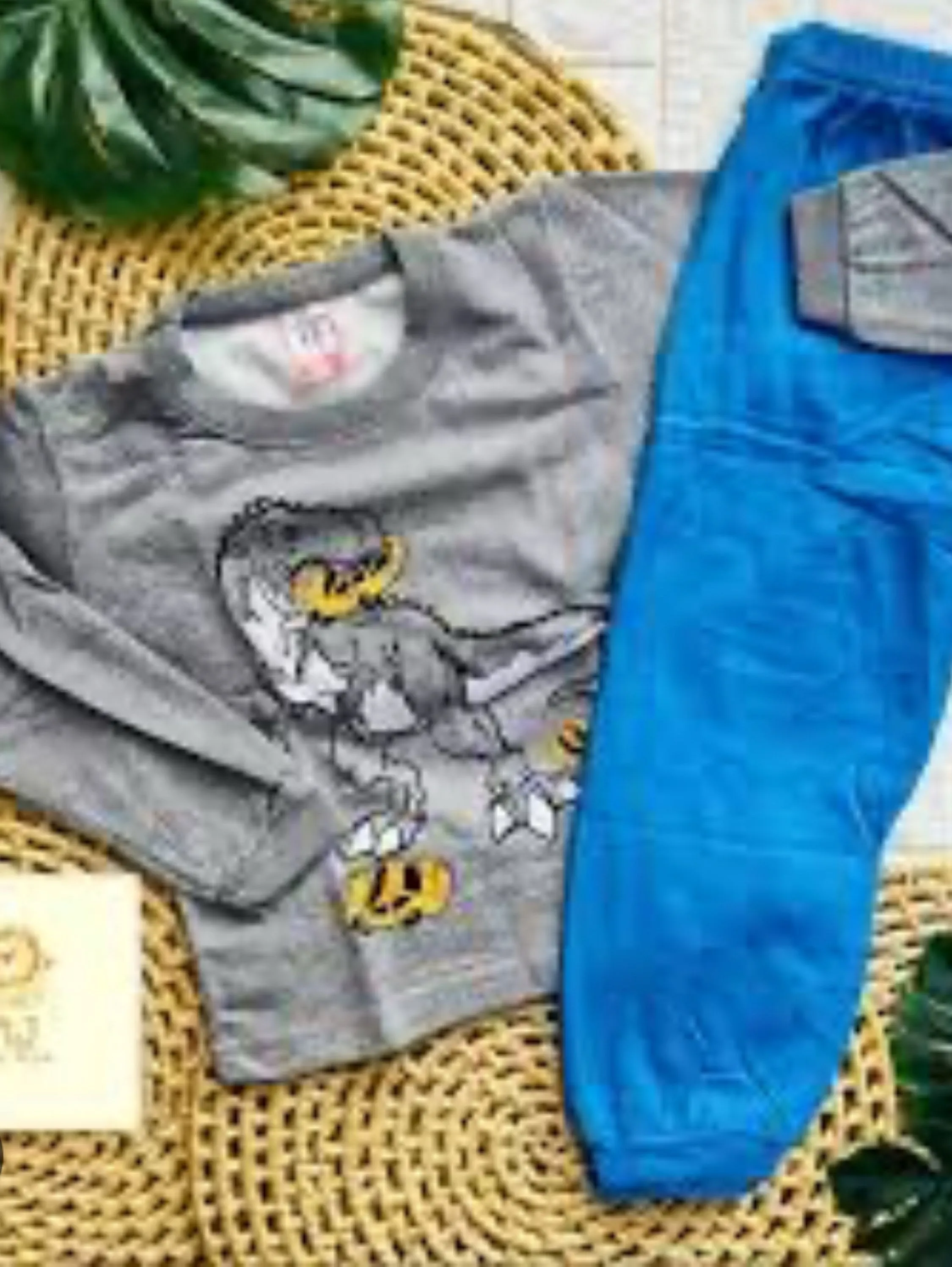 🦖 Conjunto Infantil Masculino - Dinossauro Radical