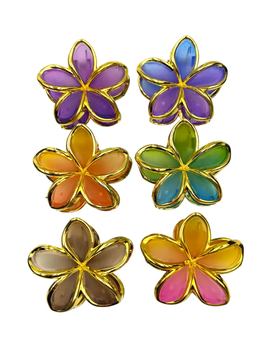 Kit 12 Piranha Cabelo Flor Borda Dourada Resina Mista