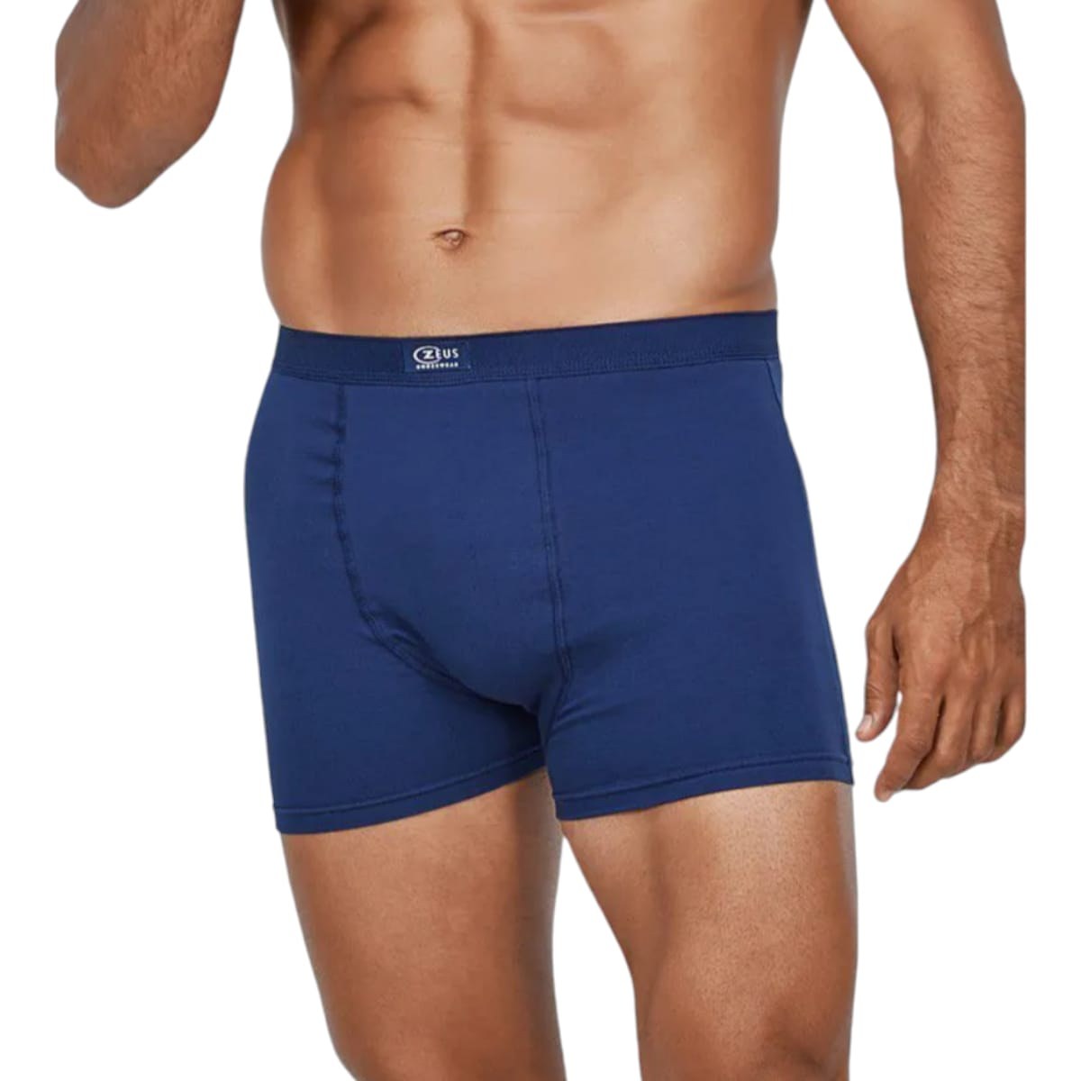 Cueca Boxer Vik Masculina Em Cotton Elastano Zeus Demillus