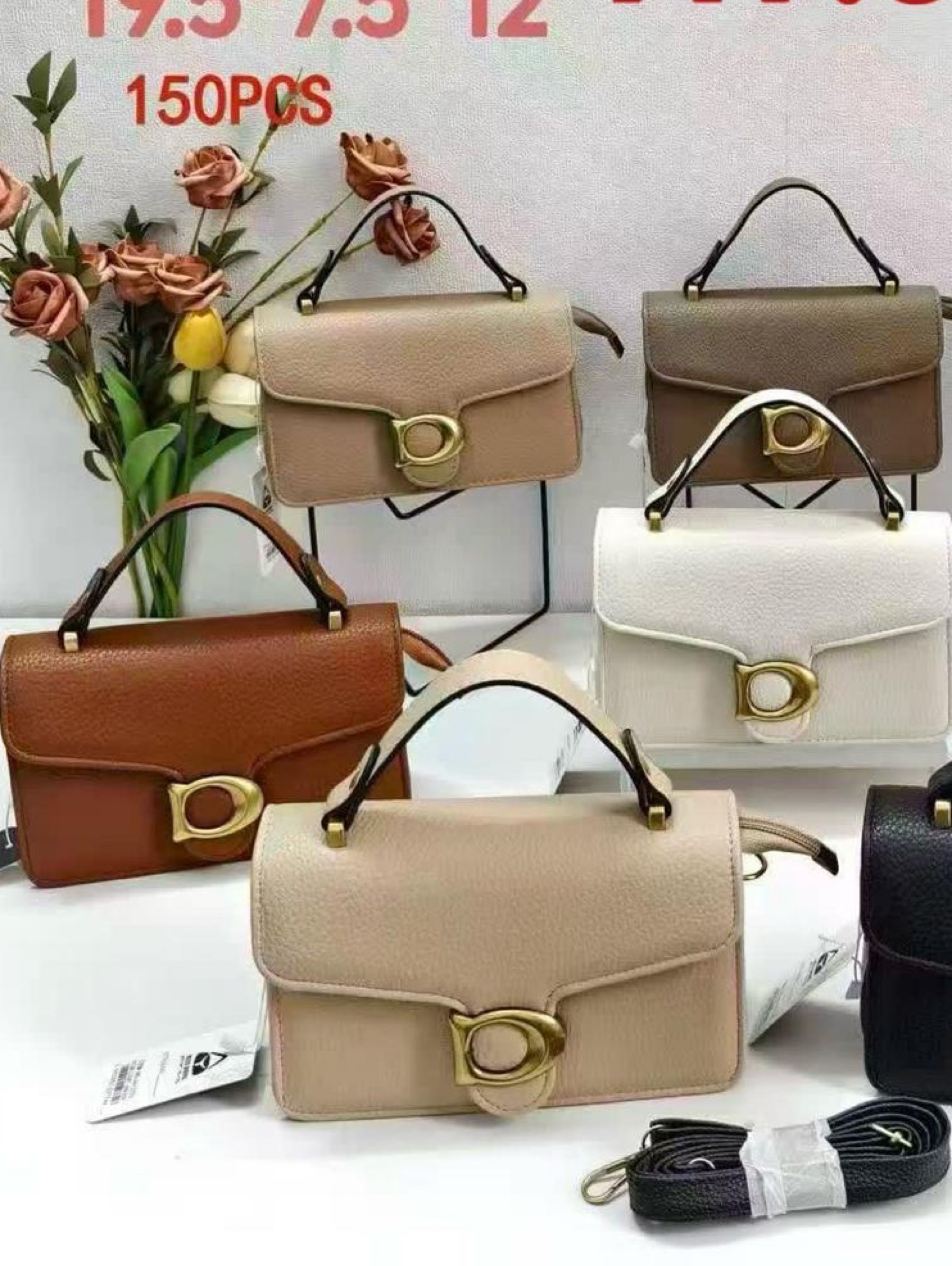 Bolsas transversal