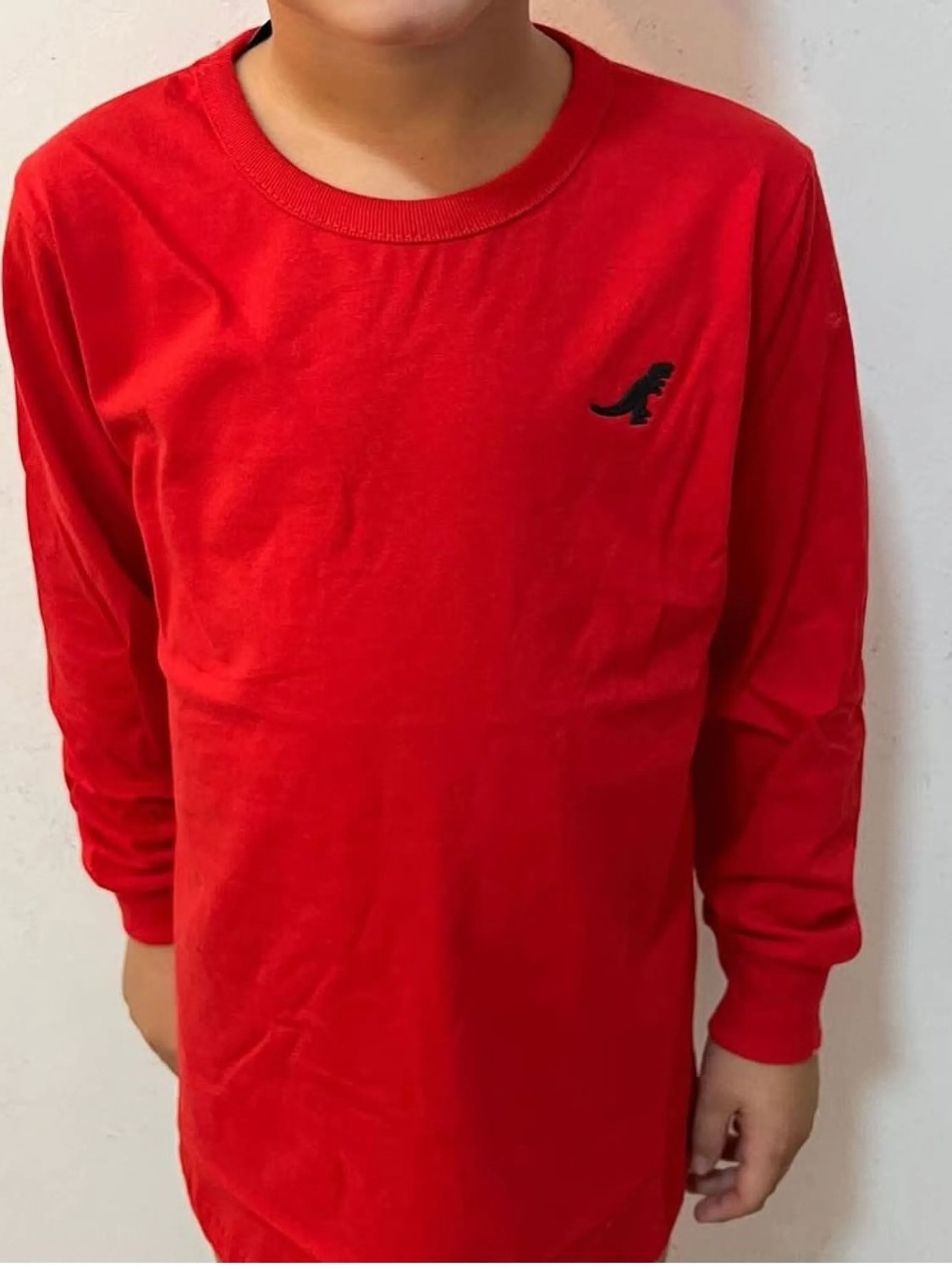 Camiseta infantil manga longa em meia malha Reirex