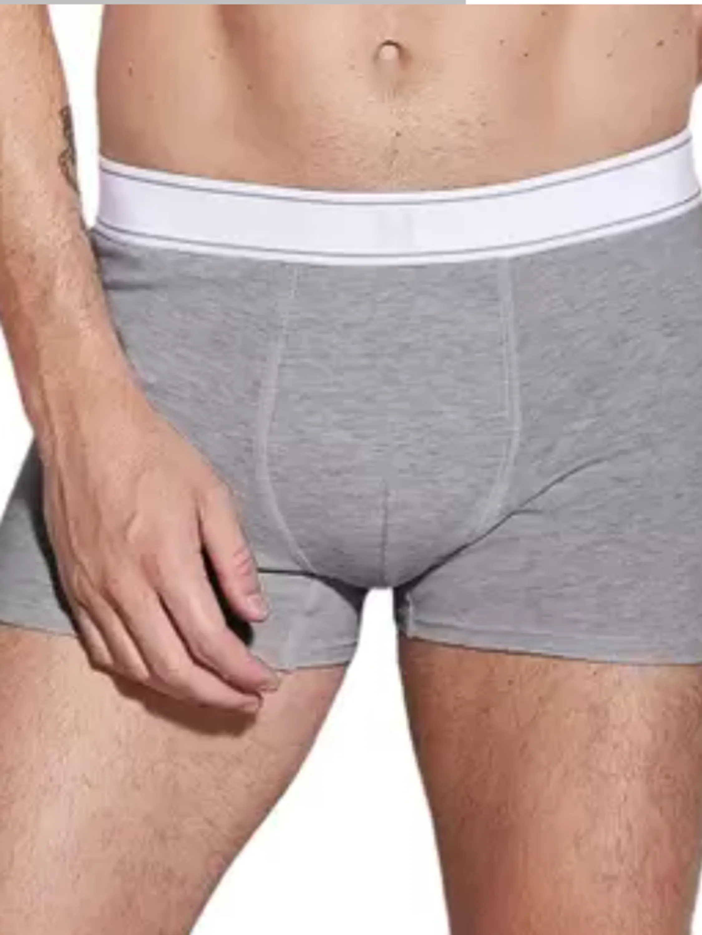 Cueca box algodão em cotton cores variadas conforme a disponibilidade da loja