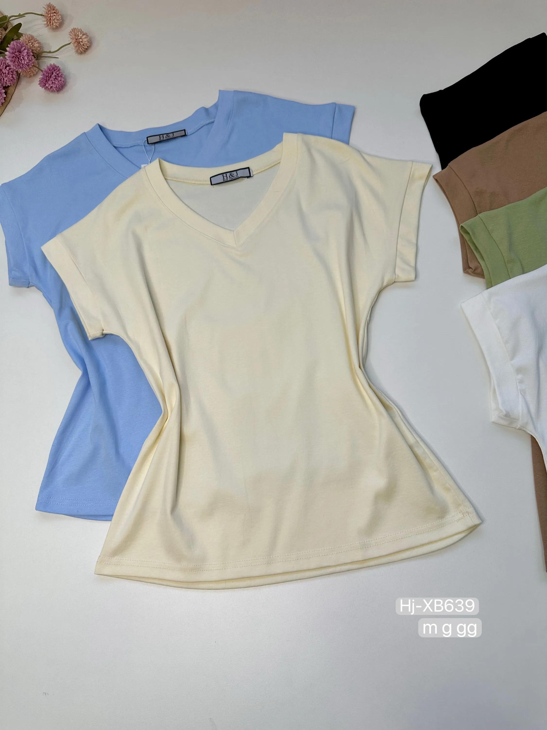 Blusa Básica Feminina Gola V (XB639)