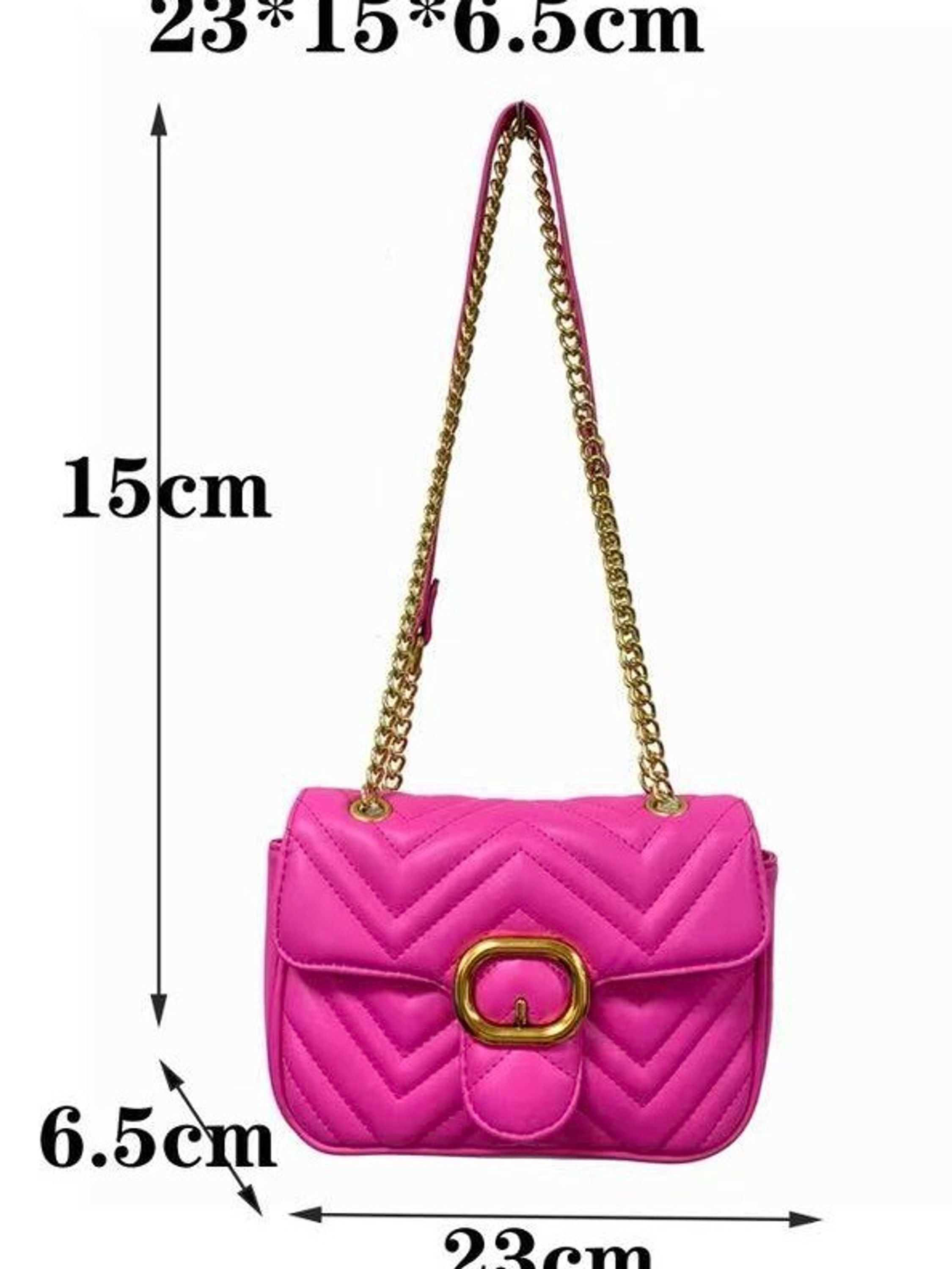 Bolsa família 113-2#