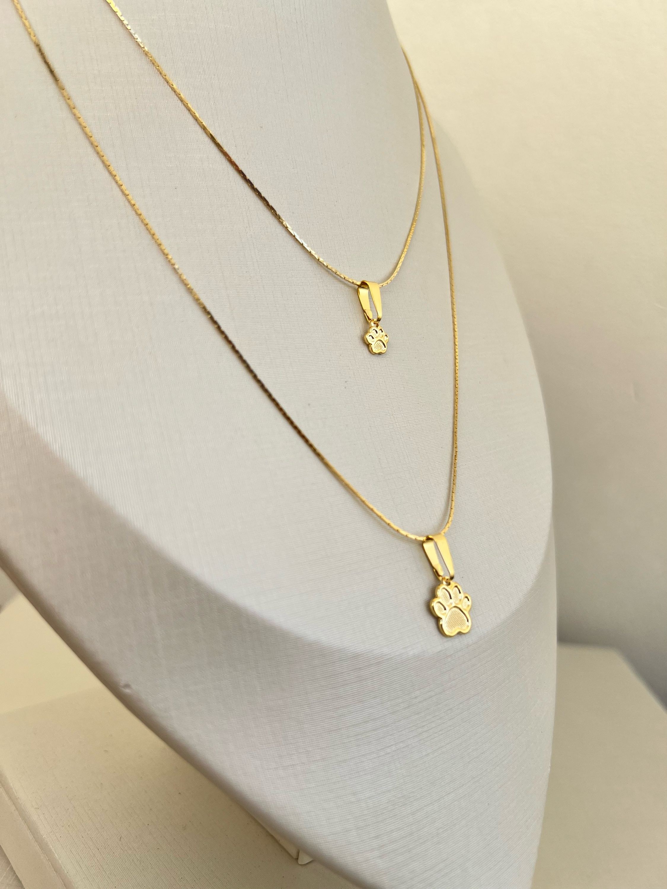 Colar duplo pata de pet