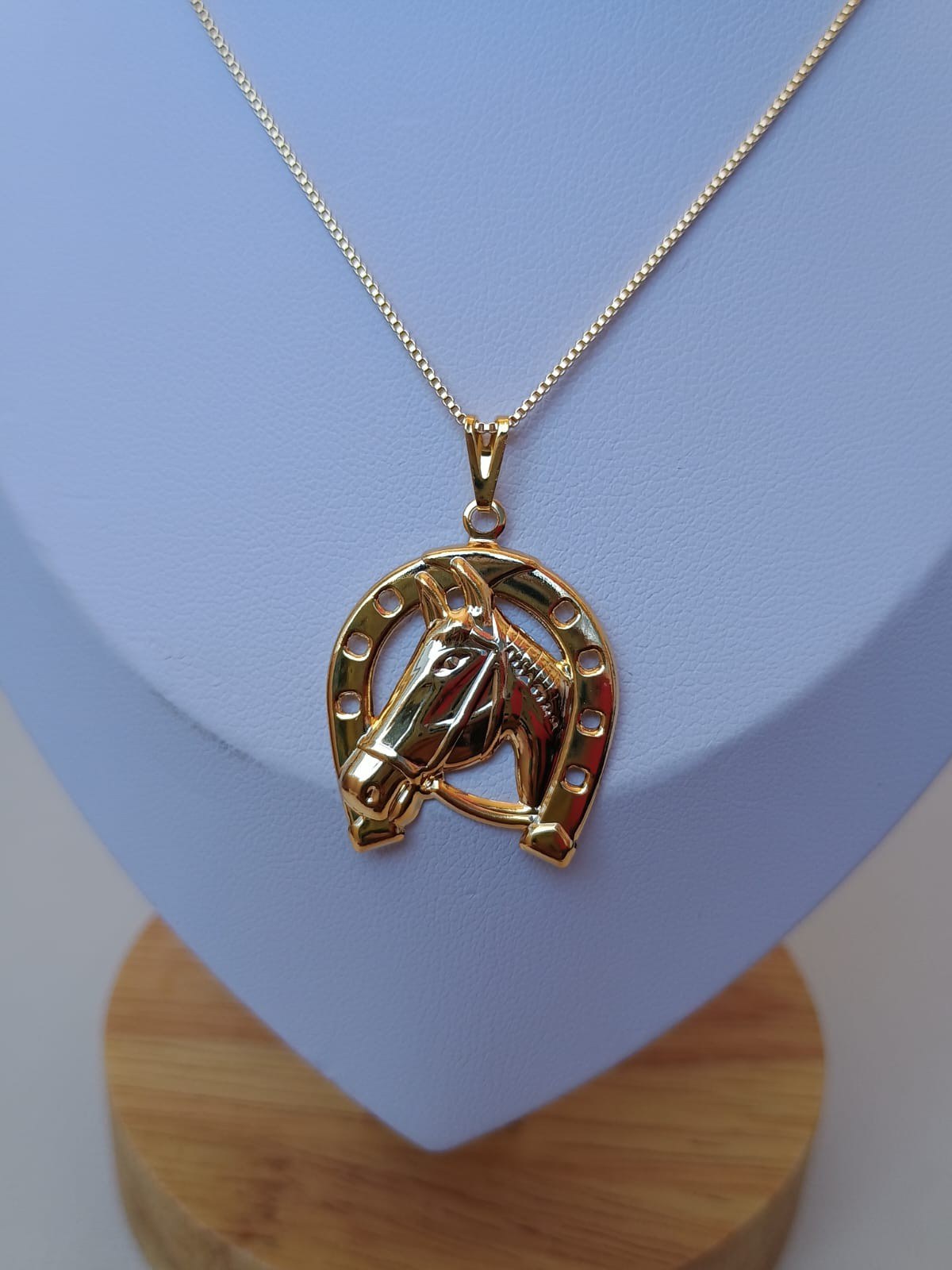 Colar com ferradura e cabeça de cavalo