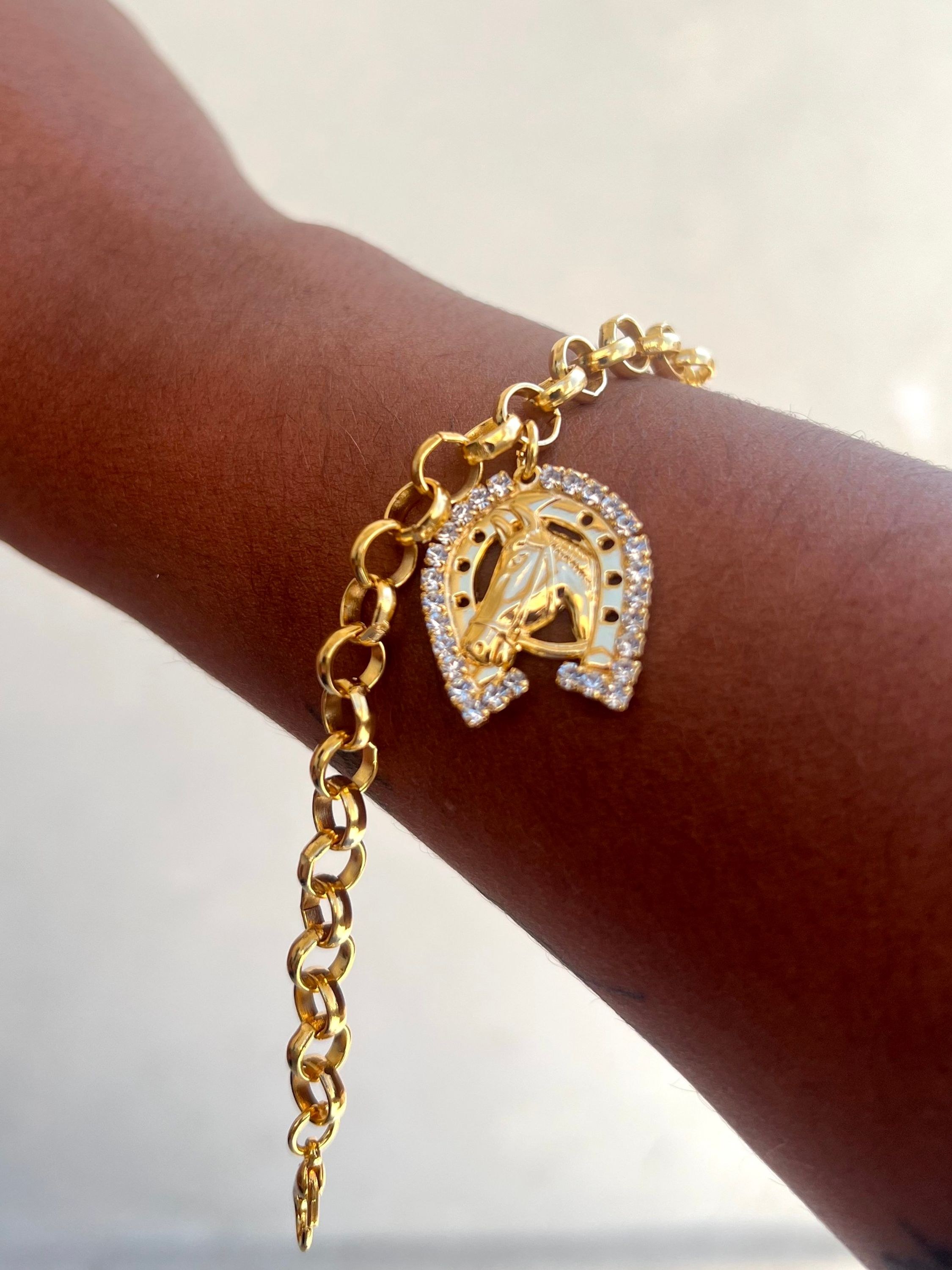 Pulseira correntaria com pingente ferradura e cavalo.
