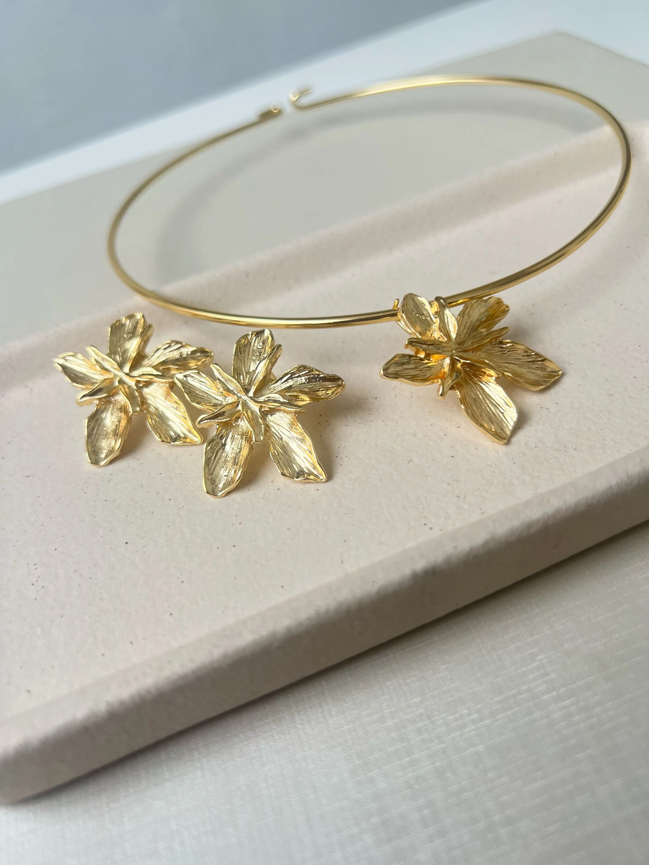 Conjunto Choker aro e brinco