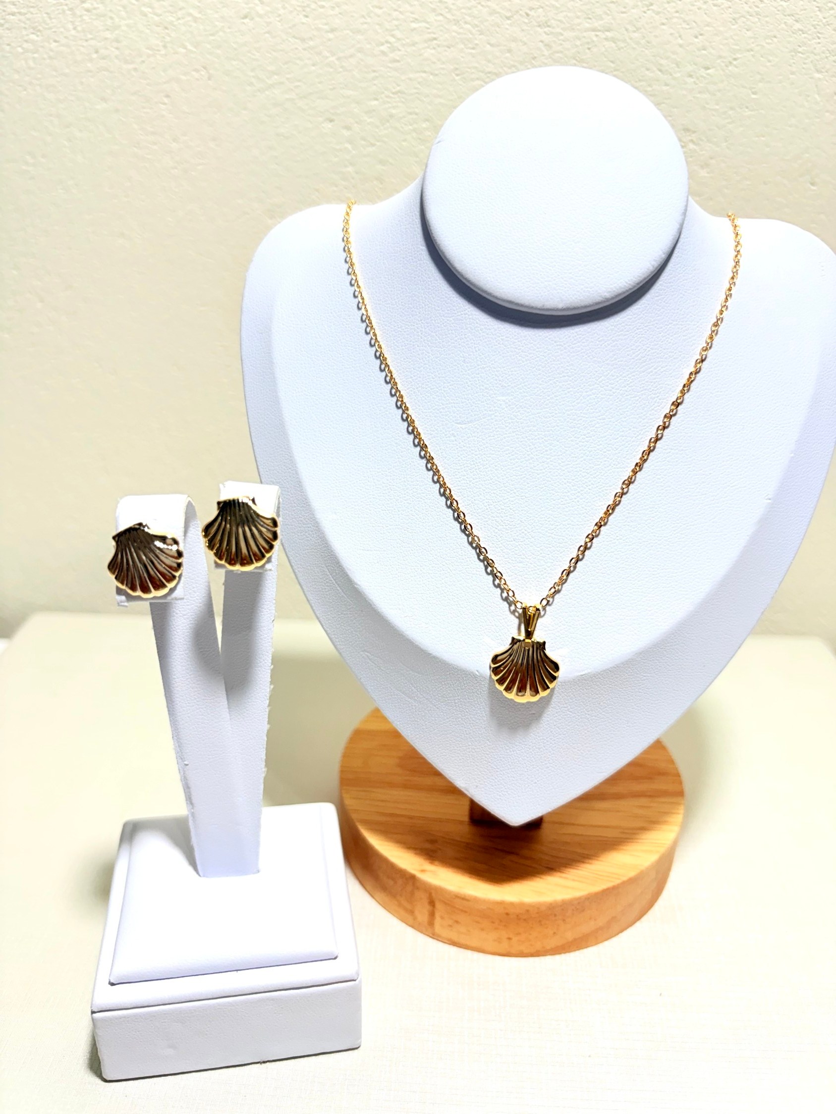 Conjunto de concha