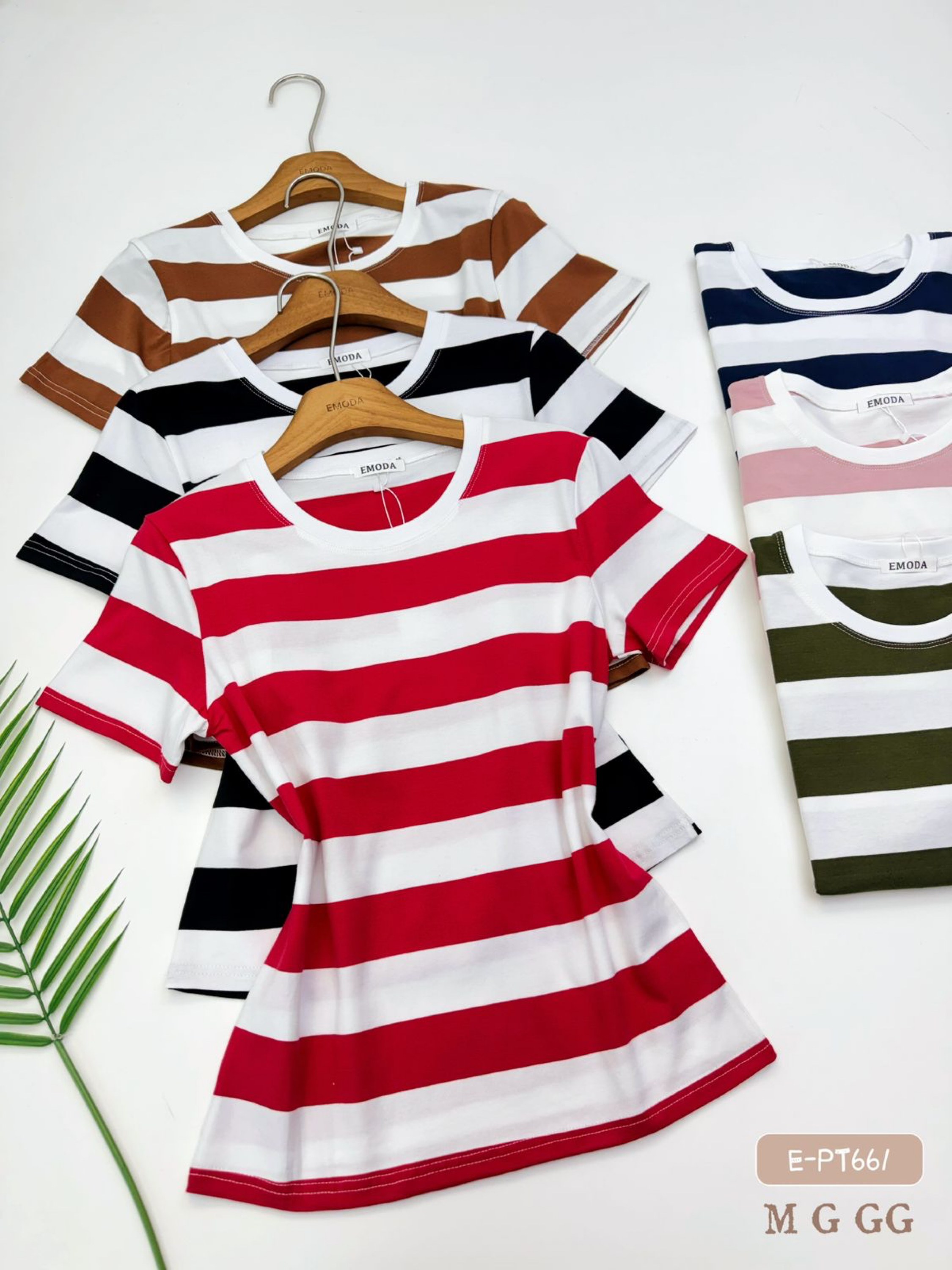 E-PT661. T-shirt - M G GG - algodão