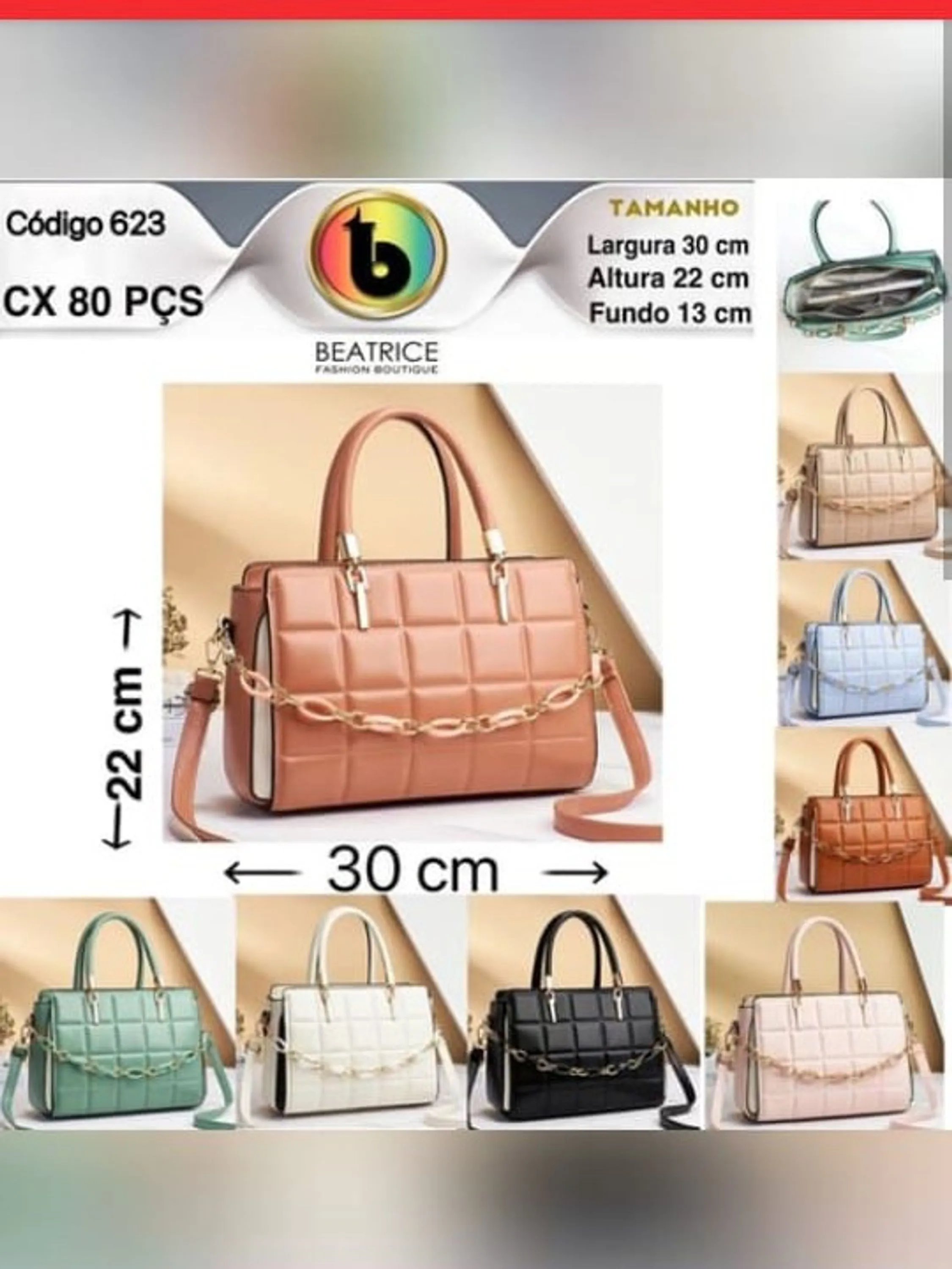 Bolsa feminina 623