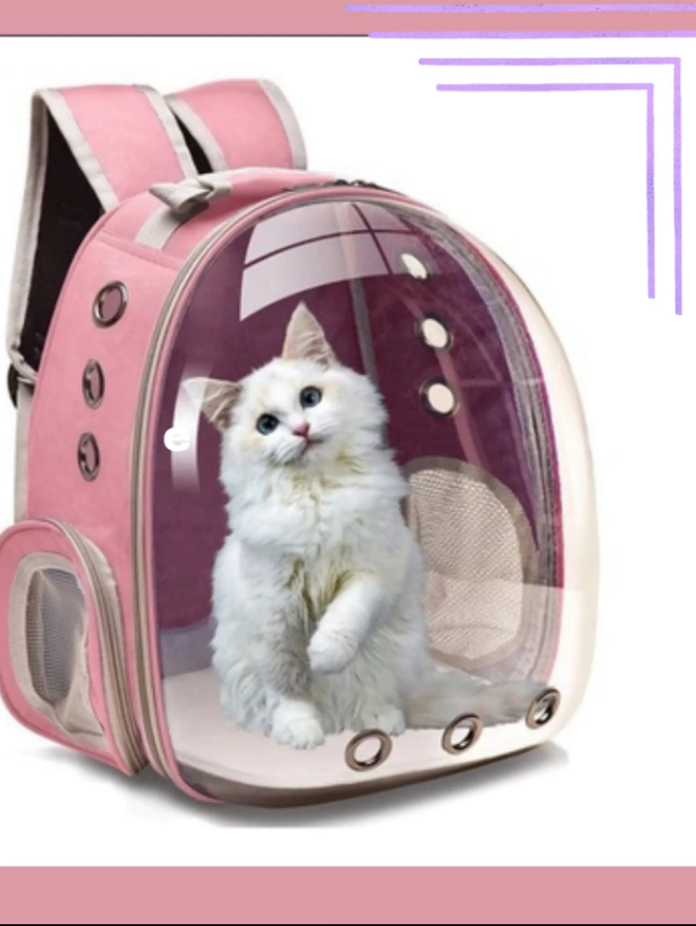 Mochila / Caixa transporte pet cães e gatos