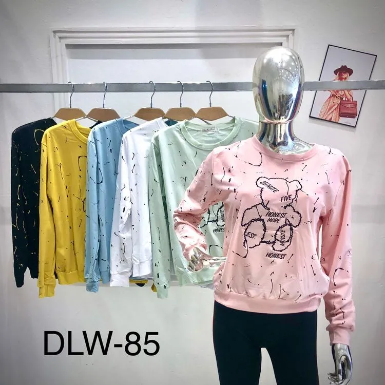 Blusa feminina /inverno /Moletinho /dlw88