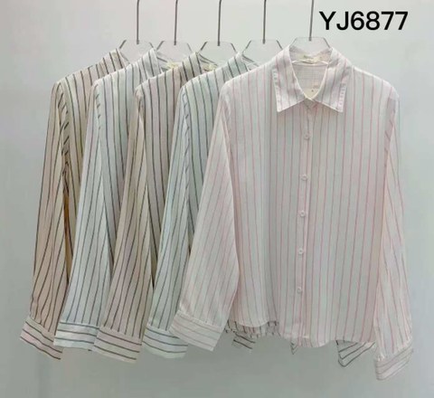 Camisa feminina    Enzo