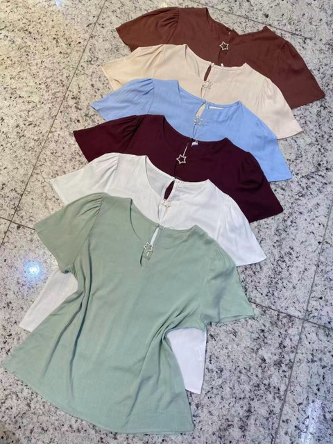 Blusa manga curta feminina novo    Enzo