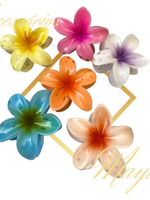 Kits de 12 pricilias  flor colorido tamanho médio