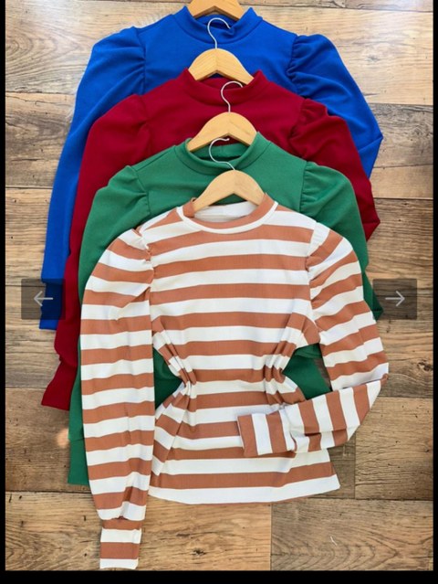 Blusa de manga cumprida