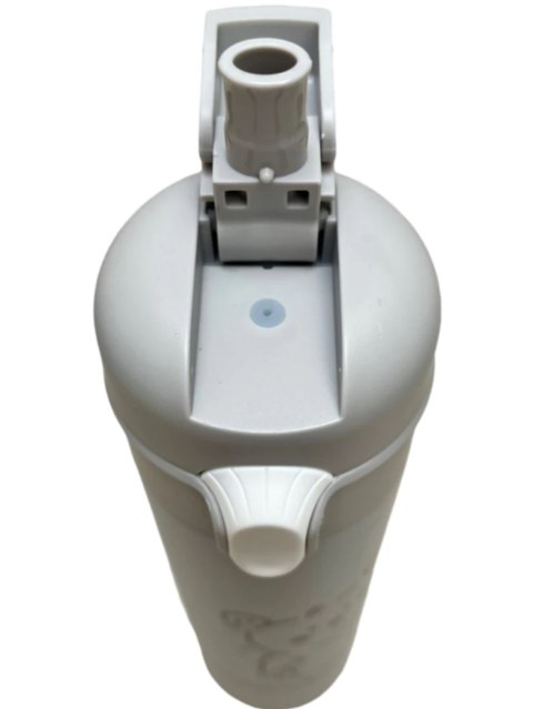 Garrafa Squeeze Térmica Inox Água 500 Ml Jbg