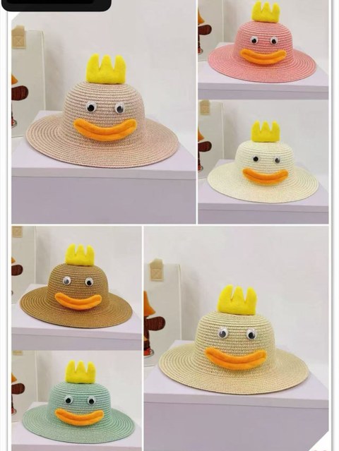 Kit 12pcs chapéu infantil 1236