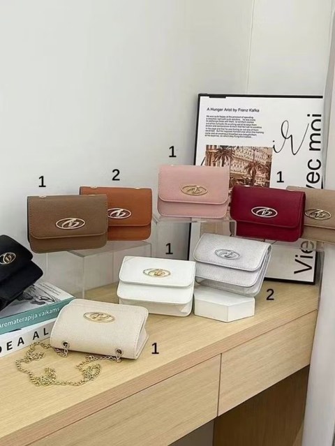 Bolsa moda blogueira