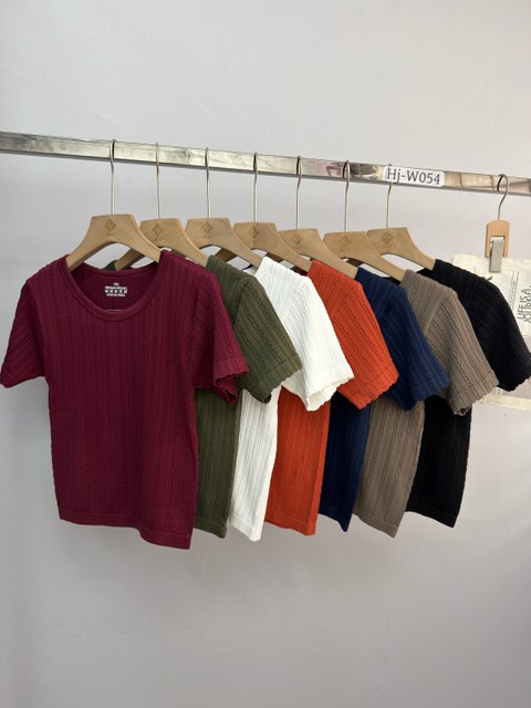 Blusa Feminina Manga Curta em Malha Texturizada (VV054)