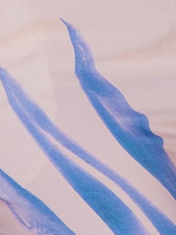 Cor Azul