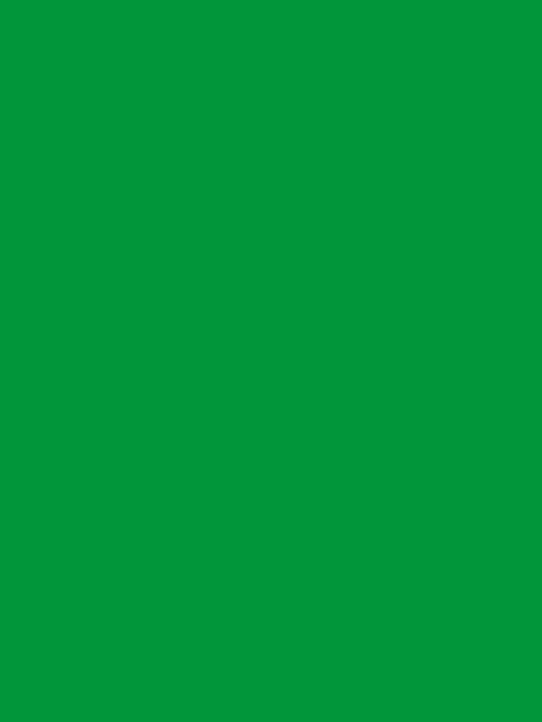 Cor Verde Bandeira