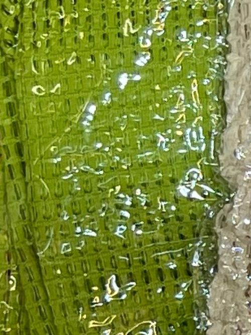 Cor Verde